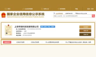 前摩拜美女CEO套現15億后再度創業，進軍翻譯服務領域